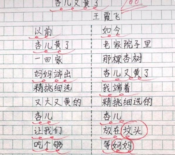 8篇800字作文初中,小学万能作文范文全篇