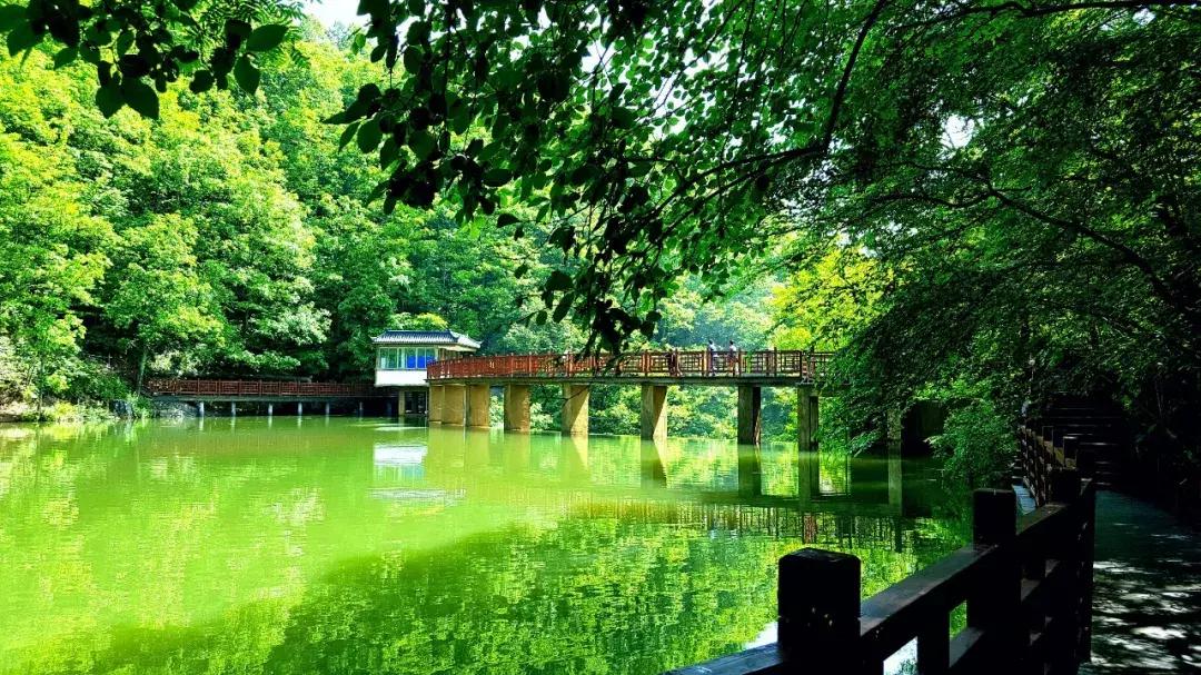 【招标公告】洛阳白云山旅游度假区农副产品统一采购招标！