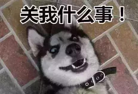 你喜欢刷抖音吗？那这篇文章你一定得看看！