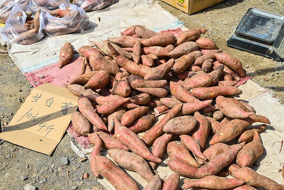 北京京郊大集地理位置,今天京郊哪有大集