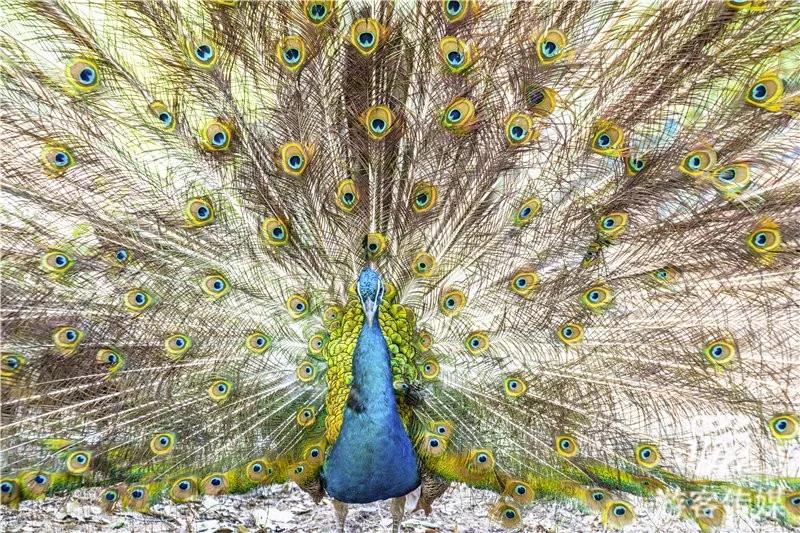 魅力辽宁丨岫（xiu）岩龙潭湾旅游度假区