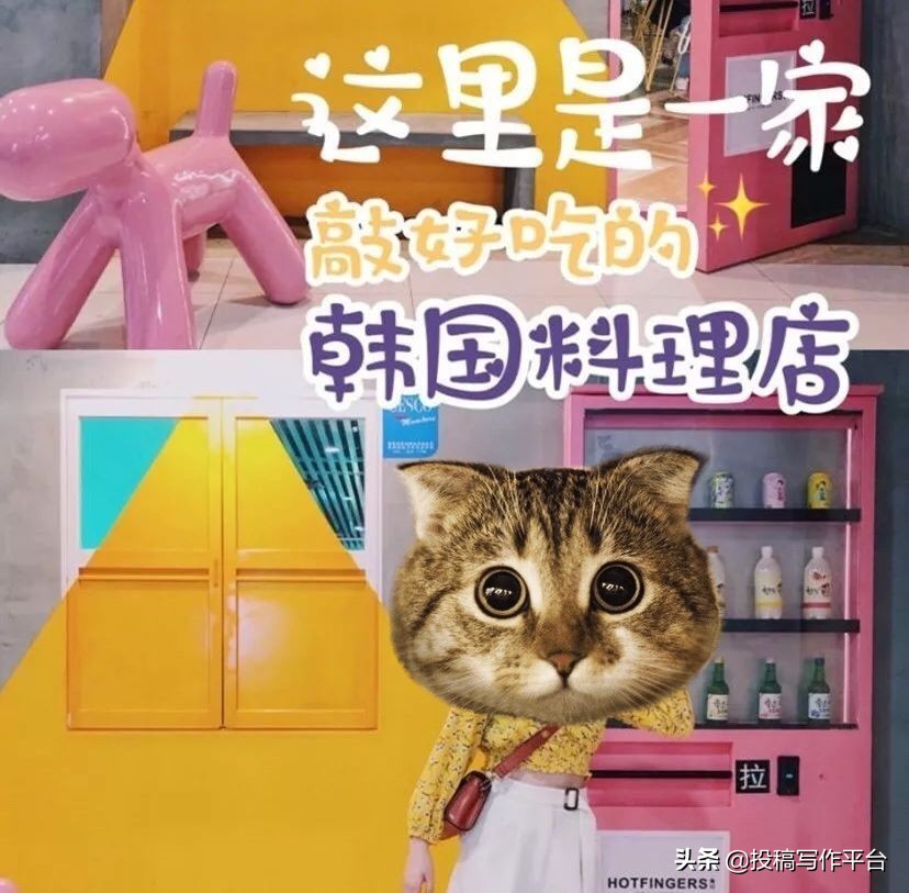 100元/篇|「朝露轻食指南」公众号长期征稿（急需稿件）