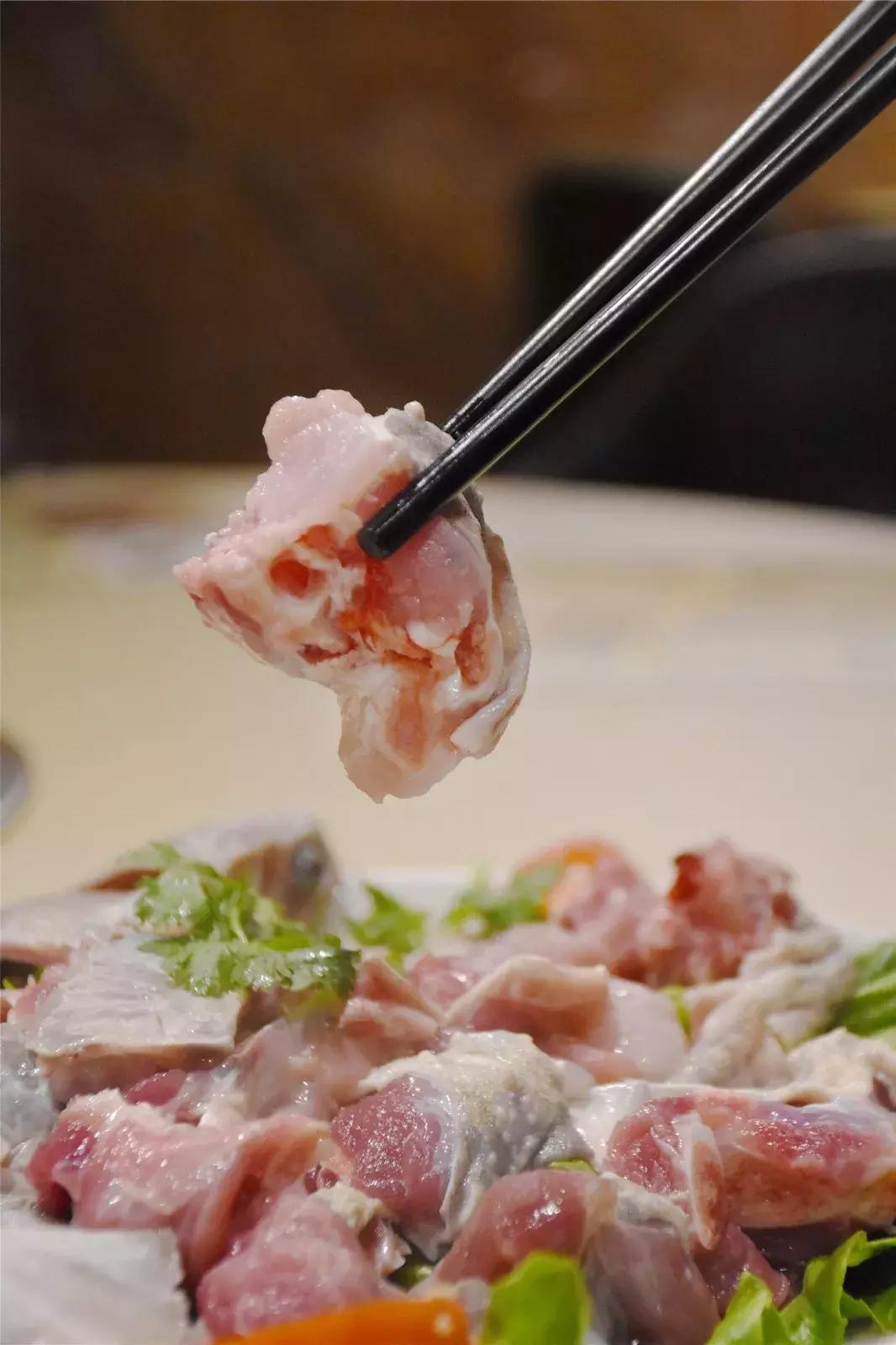 南海里水有间人气爆棚的食府，鳄鱼龟走地鸡煲只需158元！