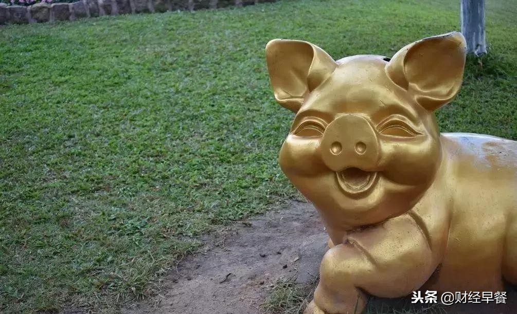 为什么马云刘强东都加入养猪行业,2018年马云养猪