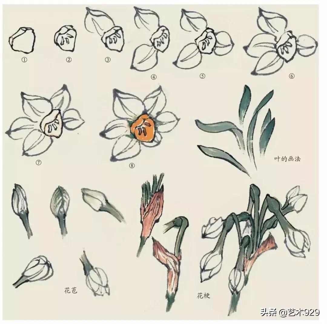 国画技法工笔花卉配色与花叶染法,国画欣赏精致的工笔彩色花卉