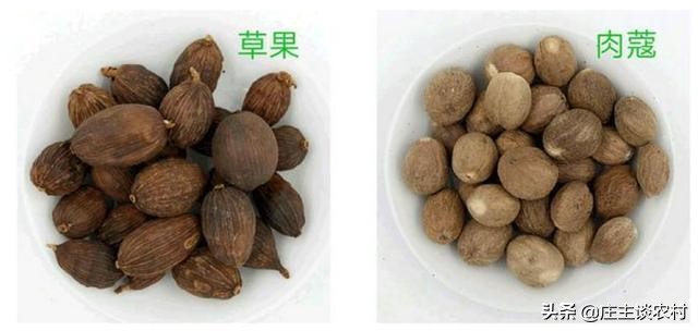 香料的正确使用方法和注意事项,卤水加桂皮的正确方法