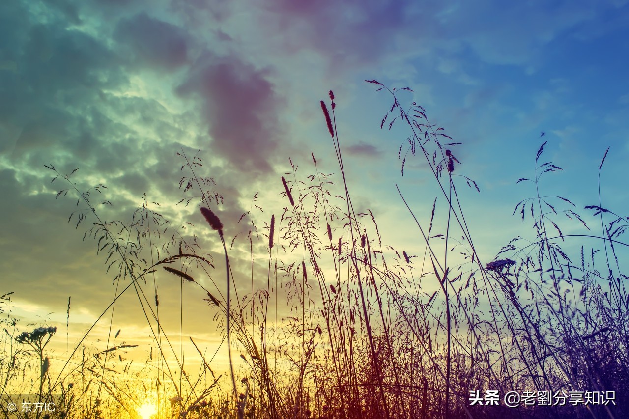 假期会学习：初中优秀作文赏析——《远方的呼唤》一题3篇