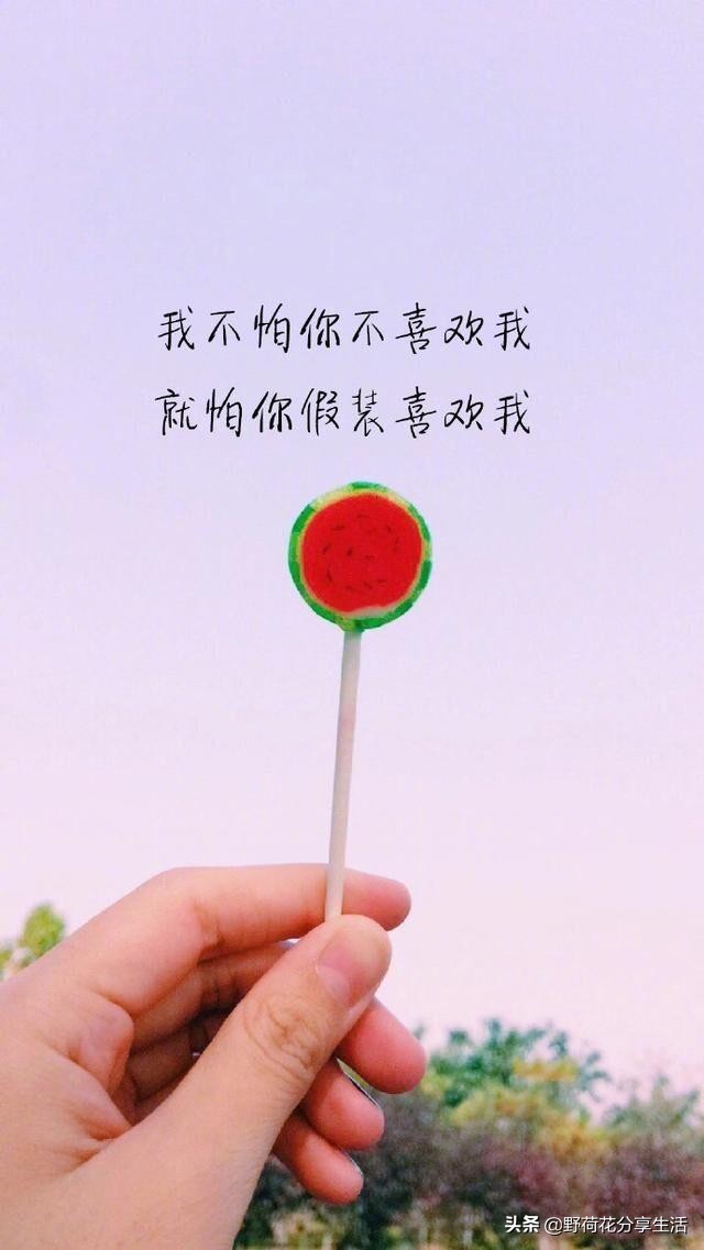 情感语录唯美文字图片大全,配美图的唯美句子