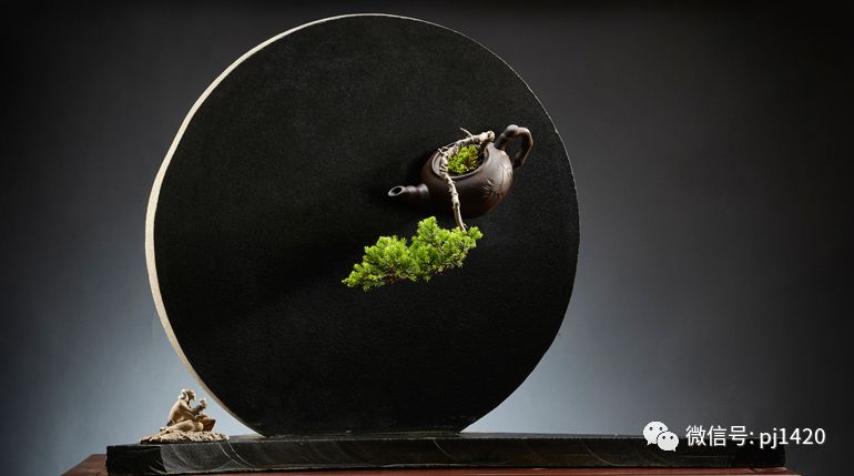 盆景四大类,盆景四绝