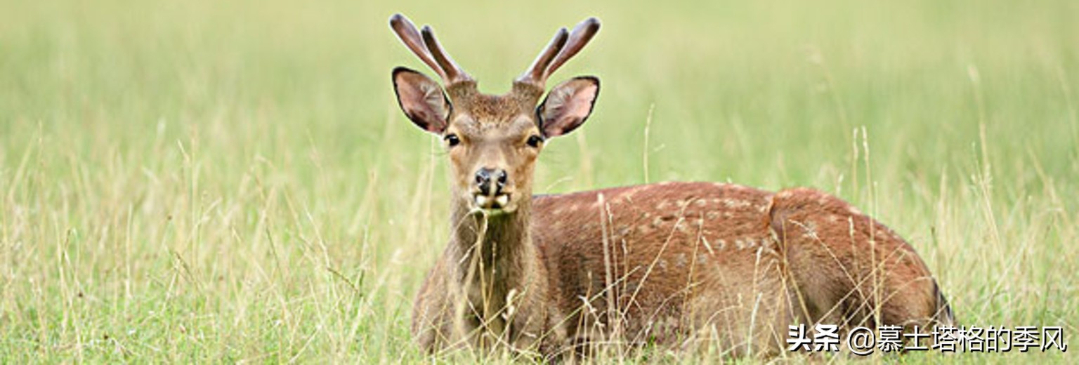 海南哪个地方适合养老价格还便宜,海南最适合的养老胜地