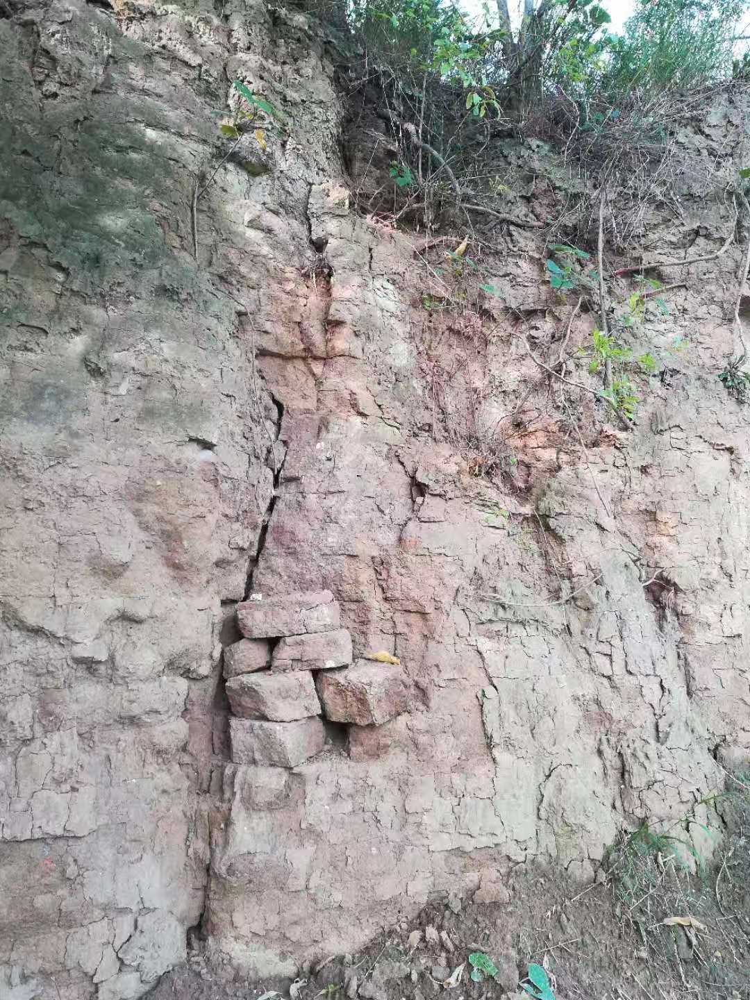 历史和未来,夹心层未央宫简介