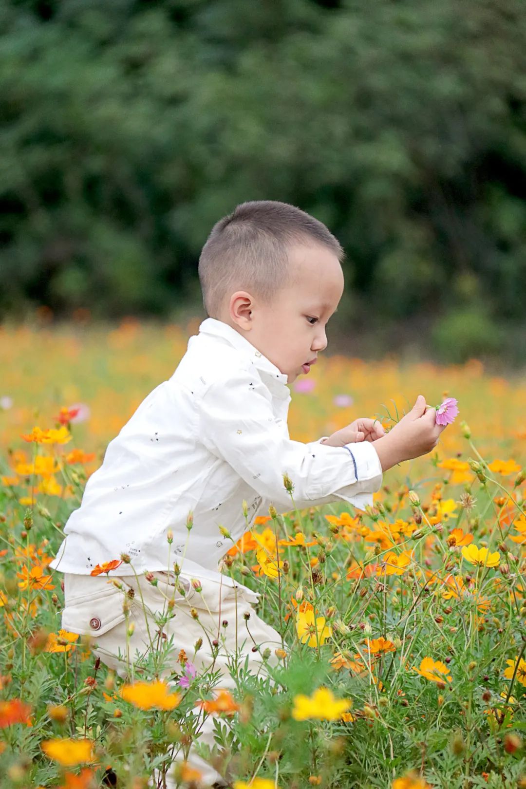 抓住春天的尾巴鸟语花香,抓住花海的尾巴