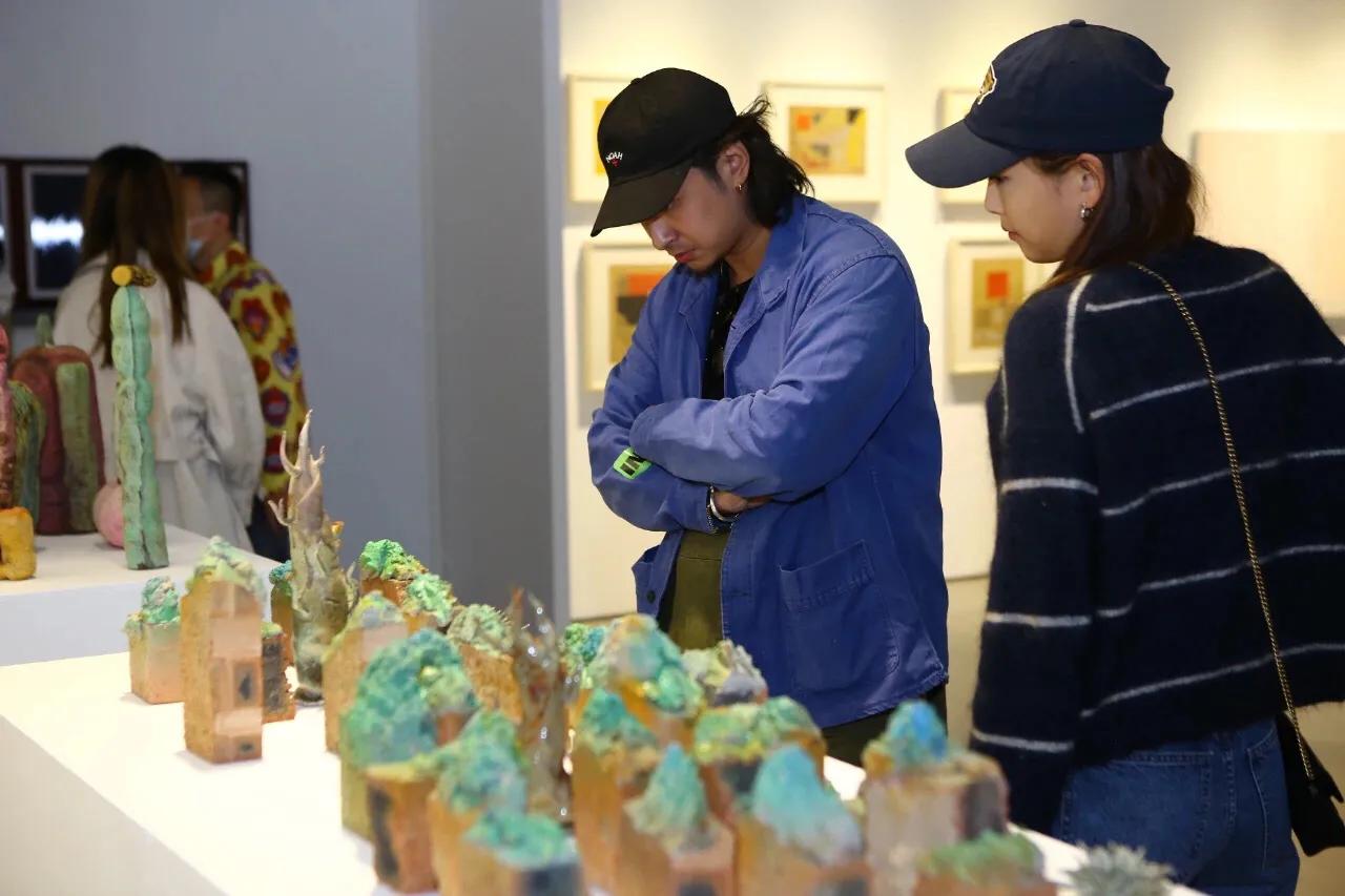 ts洗发水开屏广告,ts洗发水品牌直播