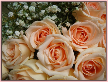 花艺培训学校哪个比较好,正规花艺培训学校有哪些