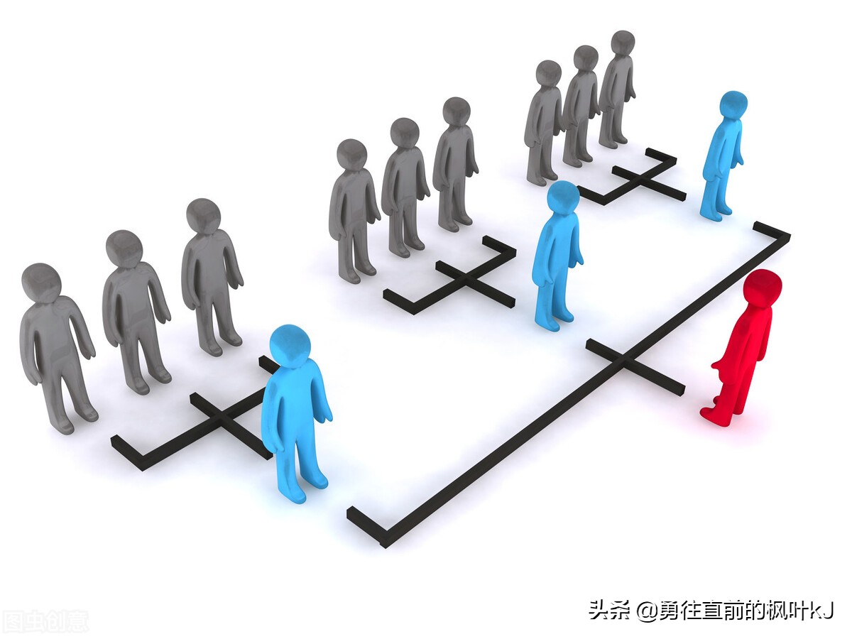 小学教资教育知识与能力重点考点,教资小学教育教学知识考点必背