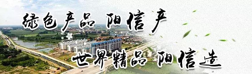 喜报！阳信县企业入选山东省第四批知名农产品企业产品品牌名单！