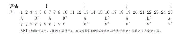 儿童肾母细胞瘤严重吗,儿童肾母细胞瘤最新治疗规定