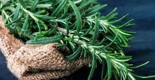 如何彻底根除脸部螨虫跟毛孔粗大,毛孔粗大螨虫打洞怎么办