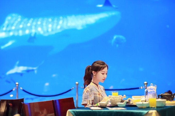 珠海横琴长隆海洋王国,珠海横琴长隆海洋王国门票价格