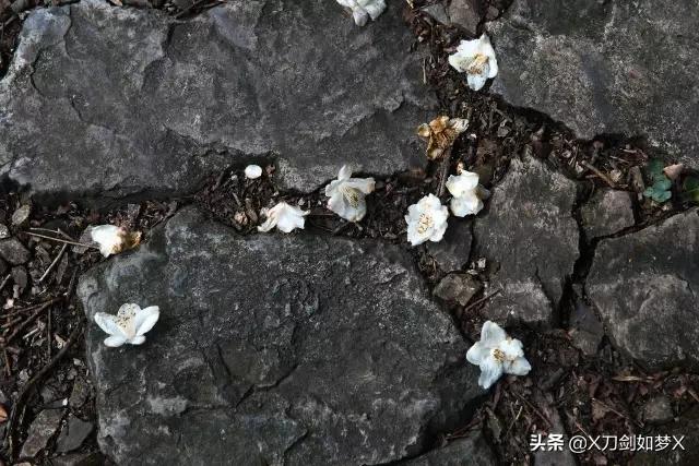 旌歙古道徒步详细攻略,旌歙古道二日游