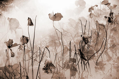 红楼梦林黛玉为什么不喜欢李商隐,林黛玉不喜欢李商隐留哪句台词