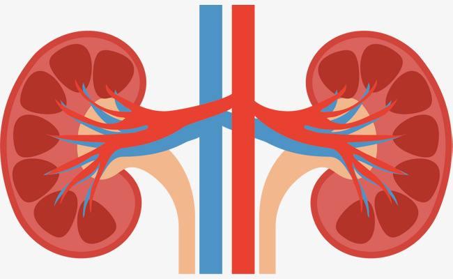 老年人睡觉不好吃点蛋白粉怎么样,老年人抵抗力差吃蛋白质粉管用吗