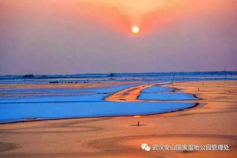 武汉21个免费景点,武汉43个免费景点出炉