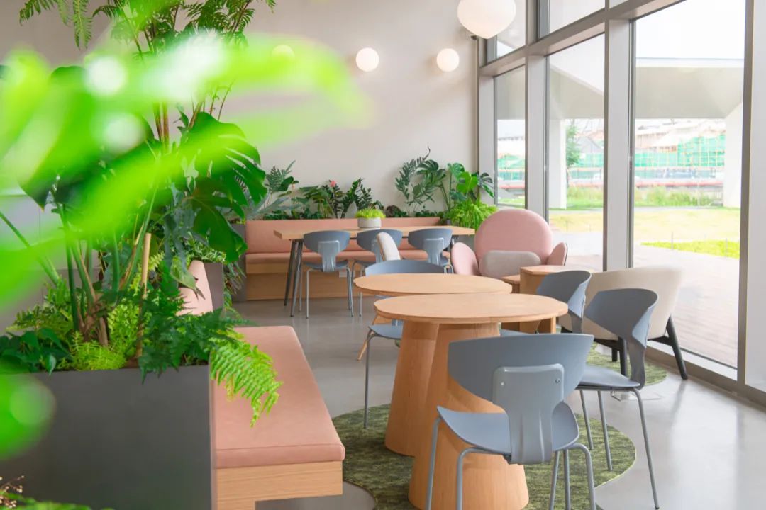 蟠龙天地实景,蟠龙天地新天地