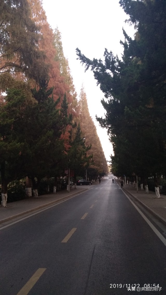 南京农业大学秋天美景,逛一下环境优美的南京农业大学