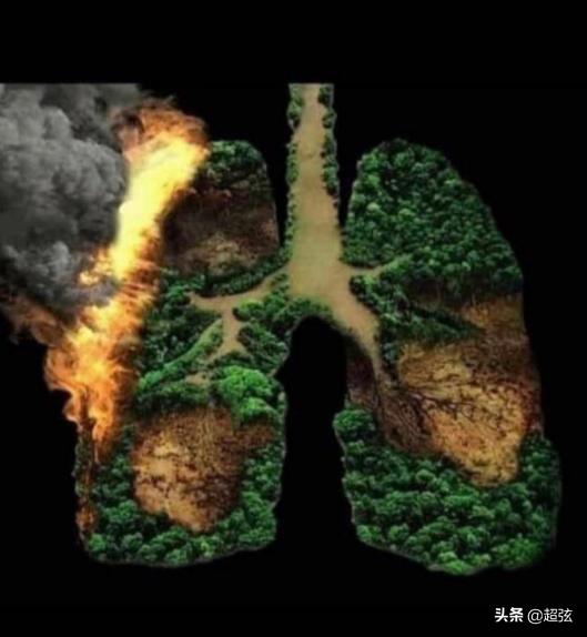 地球有多疼,亚马逊雨林燃烧视频