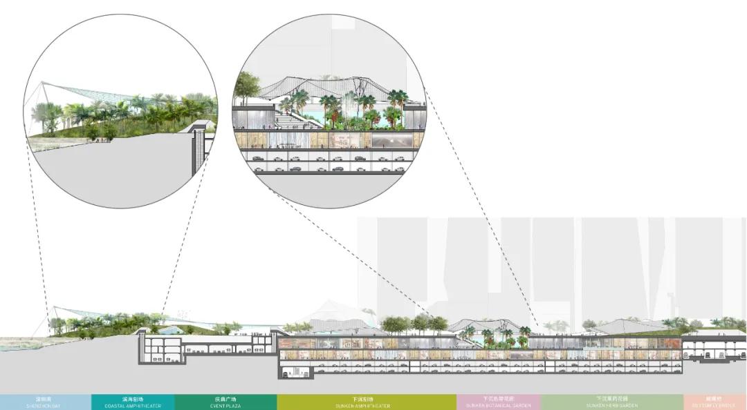 深圳湾超级总部基地绿化,深圳湾超级基地