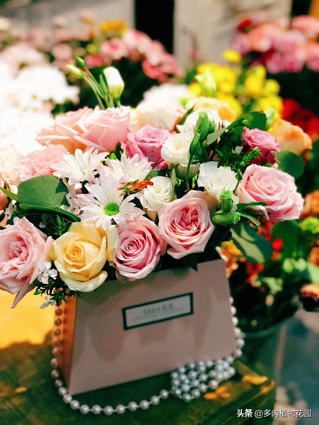 表示对老师感恩的花是什么花,什么花表示对老师的尊敬之情