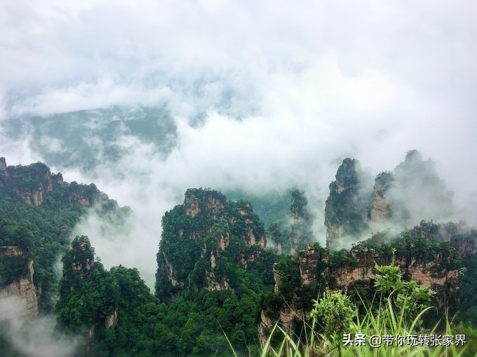 到张家界天门山自助游价格多少钱,武汉到张家界天门山三日游