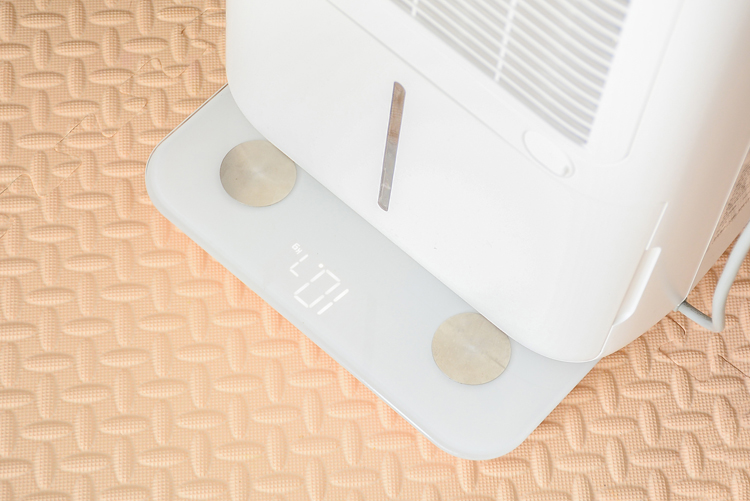 应对雨季的神器伊岛除湿机评测,北方不懂南方回南天的痛