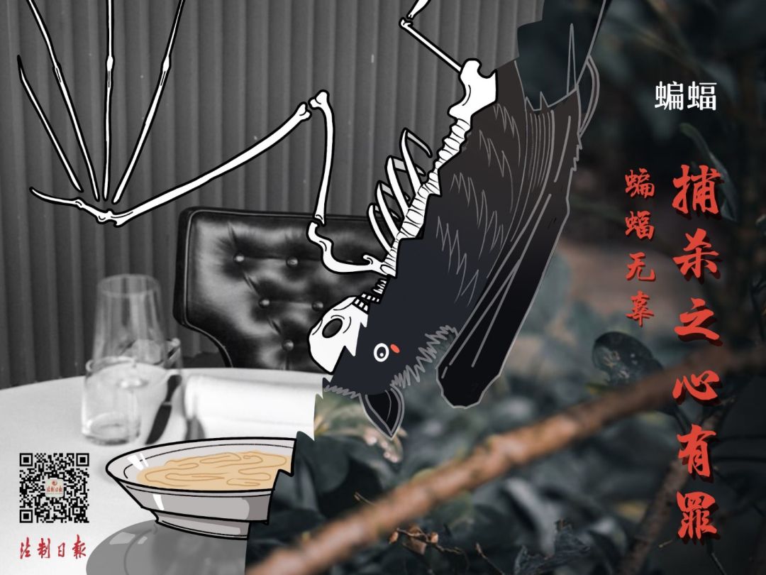 关于拒绝野味的讽刺漫画,远离野味的漫画