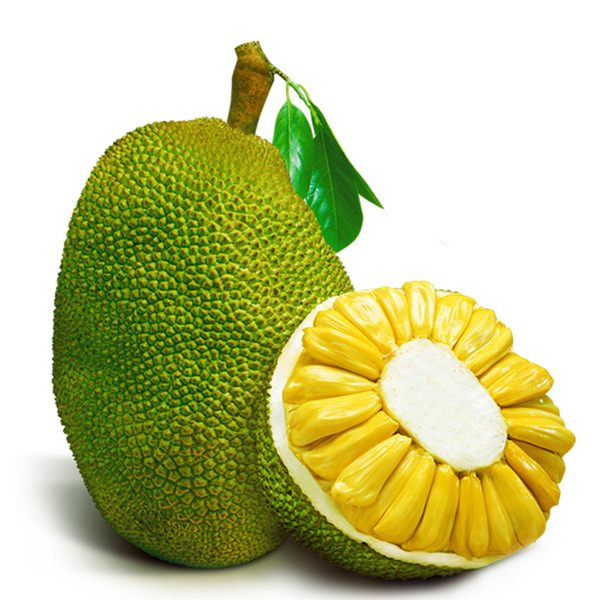 菠萝蜜的功效与营养价值及吃法,菠萝蜜的功效与营养价值及食法