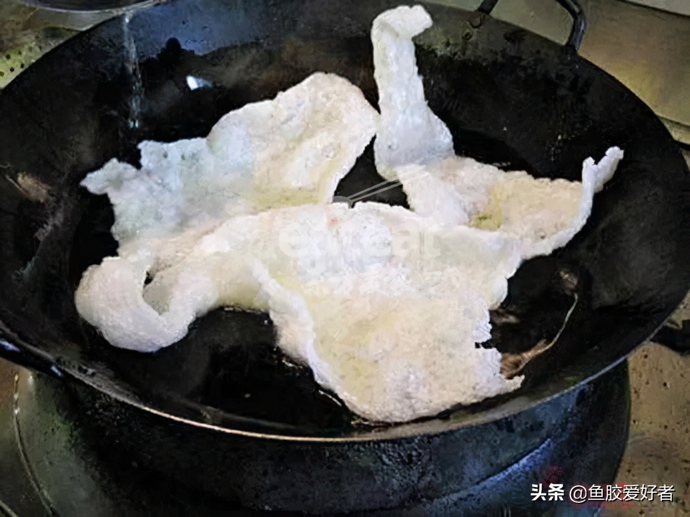 鱼胶的正确泡发方法教程,鱼胶的正确泡发方法和步骤