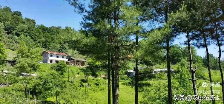 汉中圈子崖天坑,汉中镇巴圈子崖天坑旅游攻略