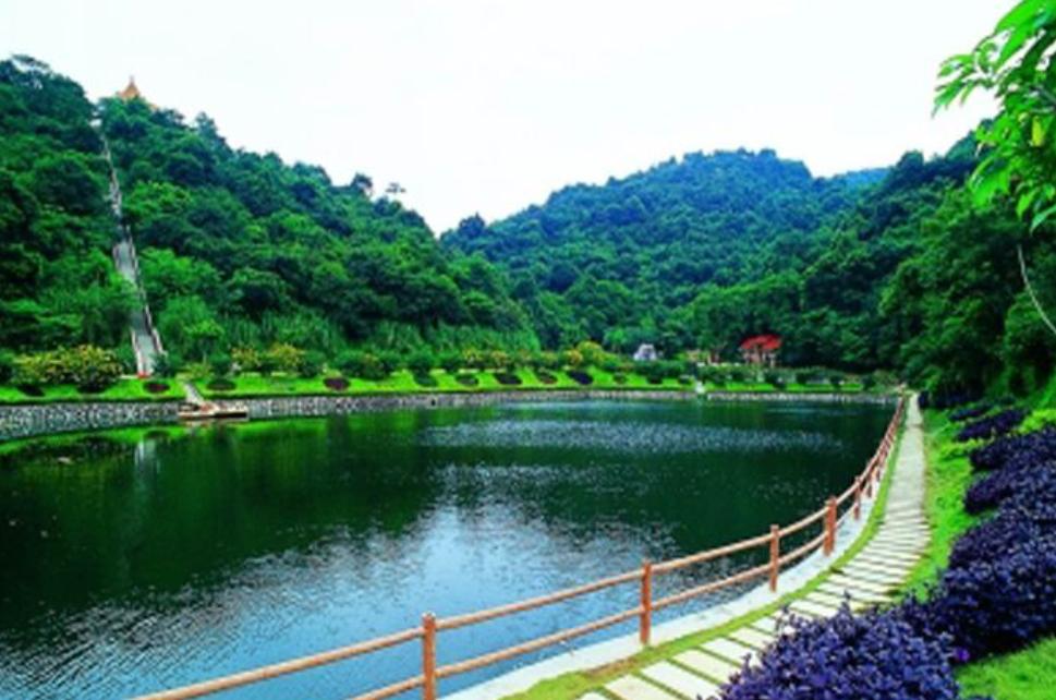 广州帽峰山红枫园在哪个门进,广州帽峰山的枫叶最佳观赏期