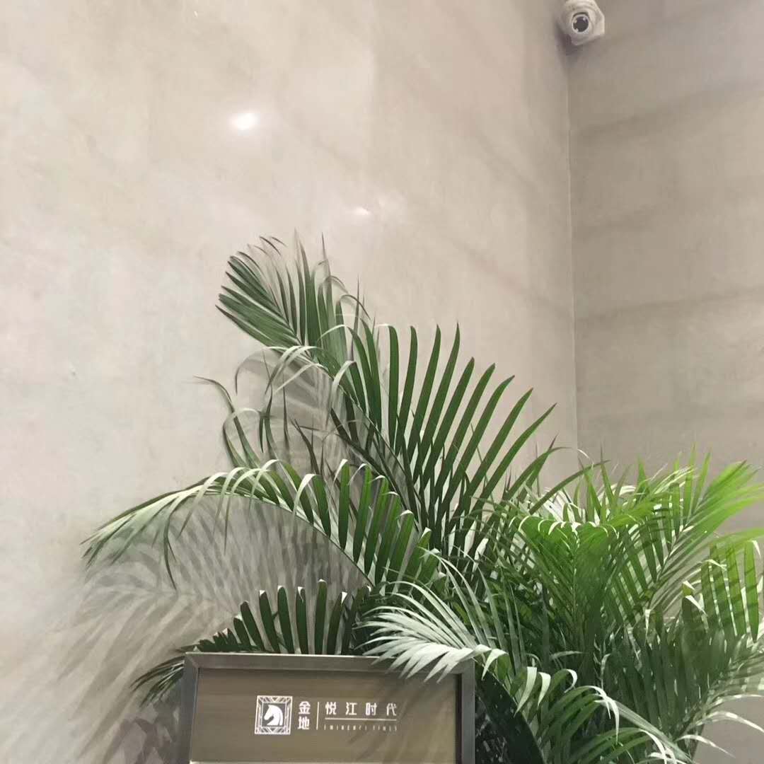 学习一刻！景观材料提升篇——新型石灰岩与常用木材种类！