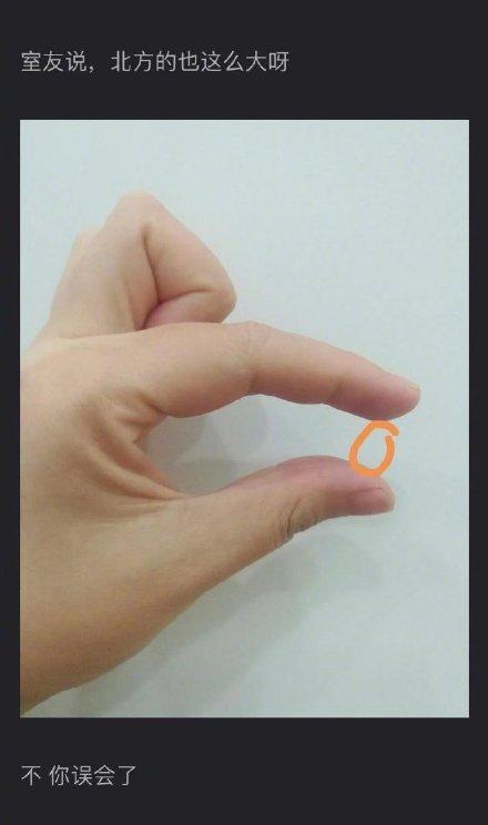 南方蟑螂和北方蟑螂对比恶搞,南方大蟑螂吓哭北方人