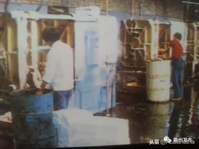 霸州土产公司老照片,霸州老城区图片