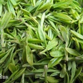 中国十大名茶茉莉花茶,中国十大名茶安吉白茶
