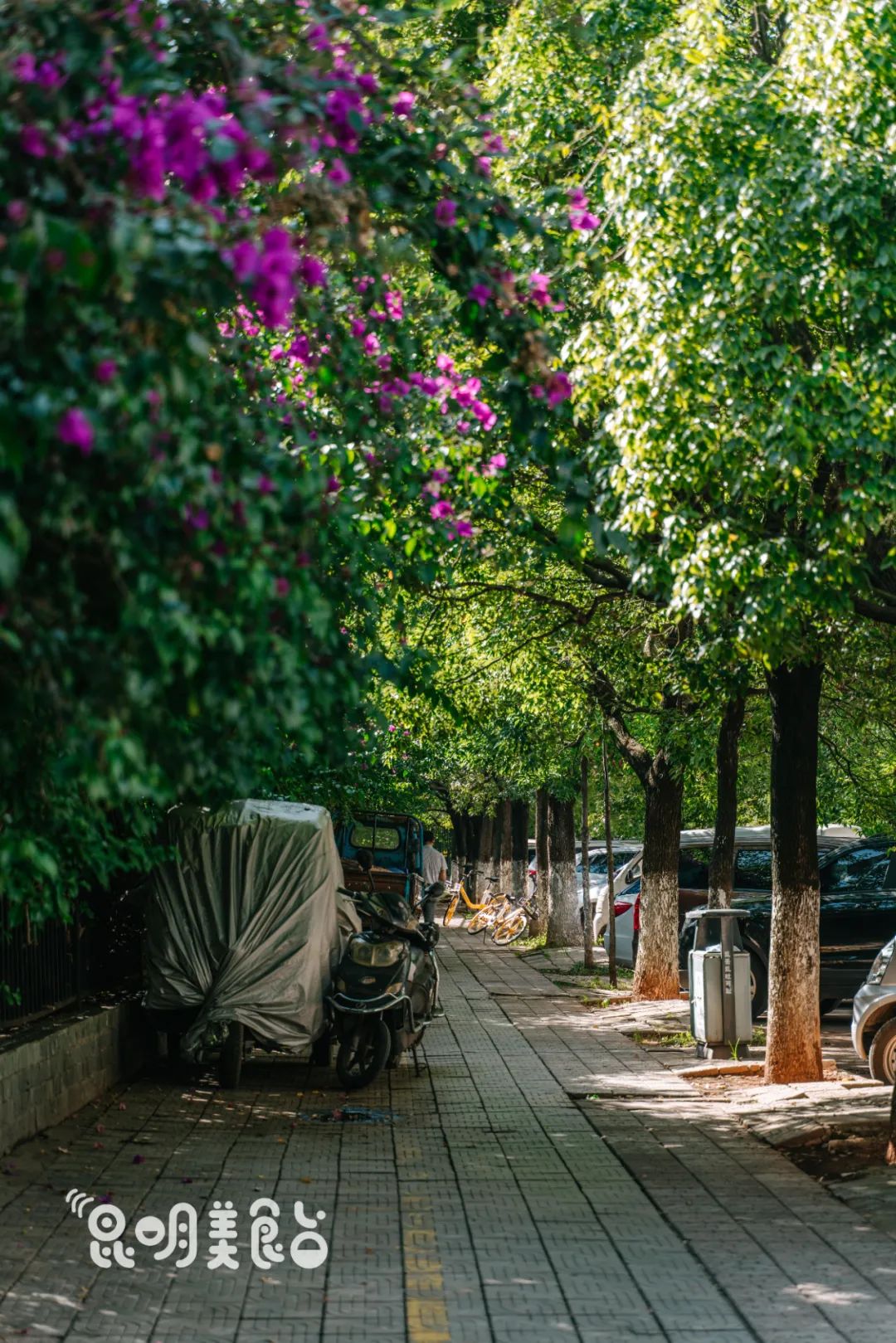 昆明排队三十年老店,昆明三十年老字号