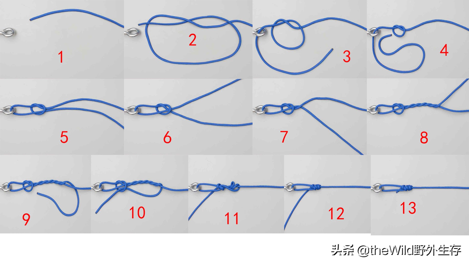 户外作业学会这几种绳结就够用了,户外安全绳结打法视频