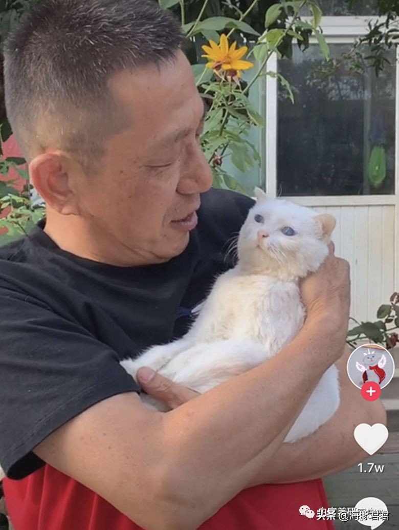 北京小公主靠吸猫血成百万大V，直播整容、大照骗、2年养死3只猫