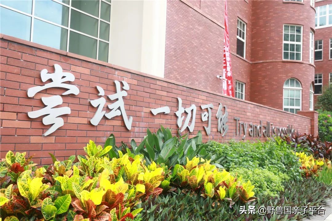 清澜山学校什么档次,入读清澜山学校需要什么条件
