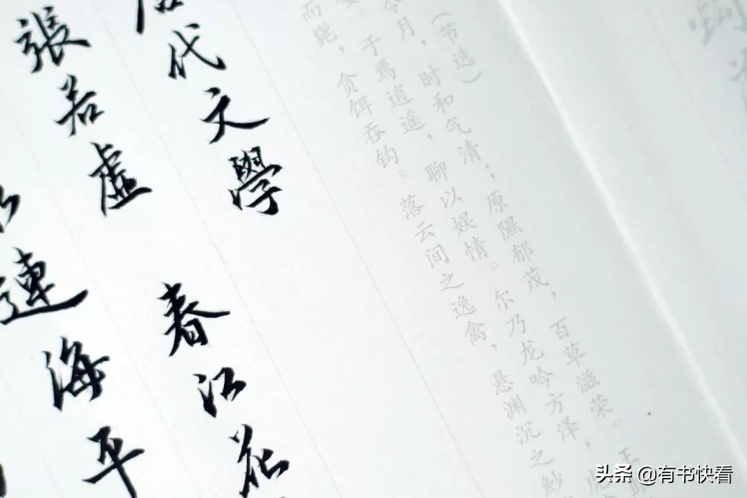 45岁徐静蕾简介,46岁徐静蕾水彩书法