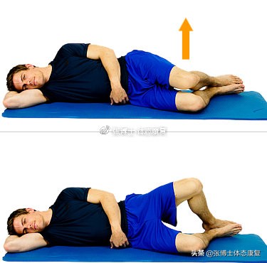 功能训练之核心稳定,功能训练练臀