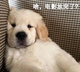 十大烂片地球最后的夜晚,地球最后的夜晚烂片解说